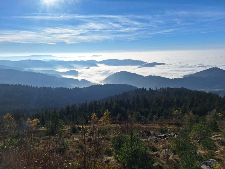 Rheintallblick(Wolken)