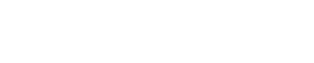 Storee Logo